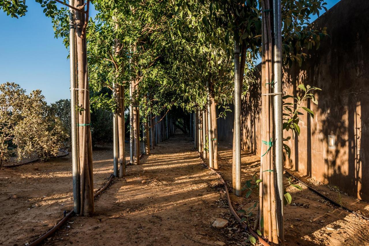 Angel Hill Villa Ξηροκάμπι Εξωτερικό φωτογραφία
