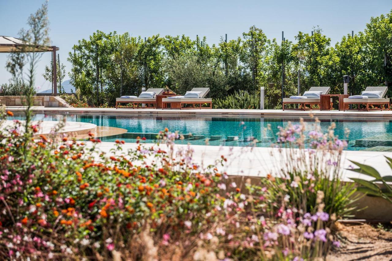 Angel Hill Villa Ξηροκάμπι Εξωτερικό φωτογραφία